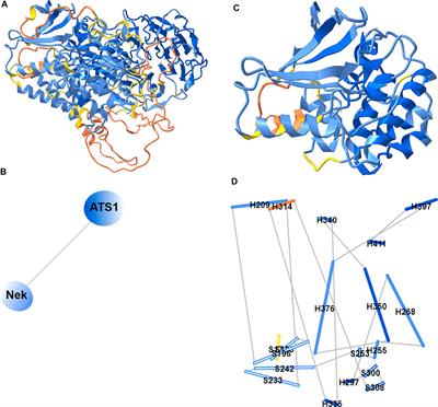 iCn3D: From Web-Based 3D Viewer to Structural Analysis Tool in Batch Mode